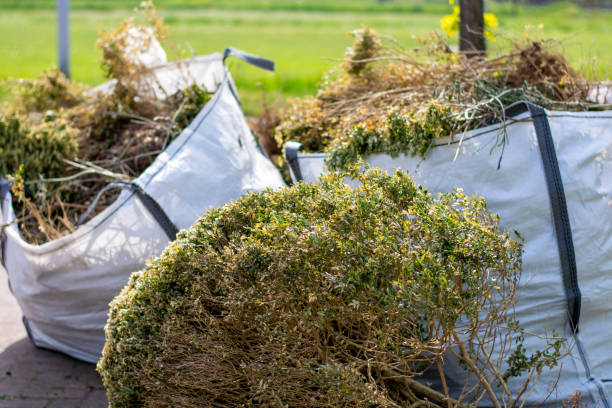 Trash Removal Near Me in Hardeeville, SC