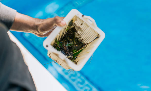 Best Estate Cleanout Services  in Hardeeville, SC